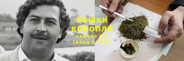 эйфоретик Белоозёрский