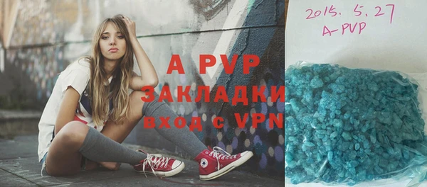 твердый Белокуриха