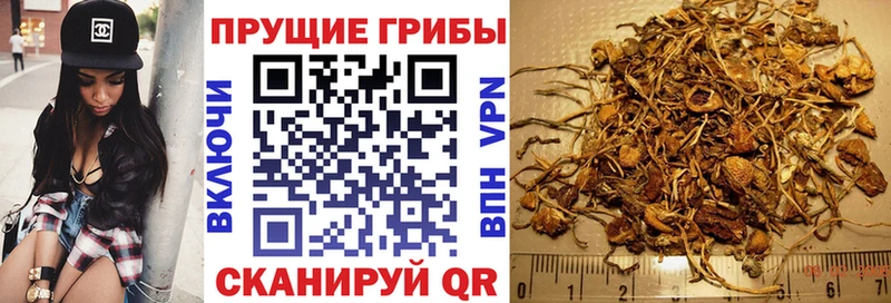 Купить  Чегем  Псилоцибиновые грибы мухоморы 