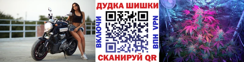Купить где  Чегем  Конопля White Widow 